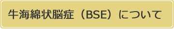 牛海綿状脳症（BSE）について
